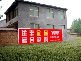 麻阳如何让墙体广告展现最大化效果