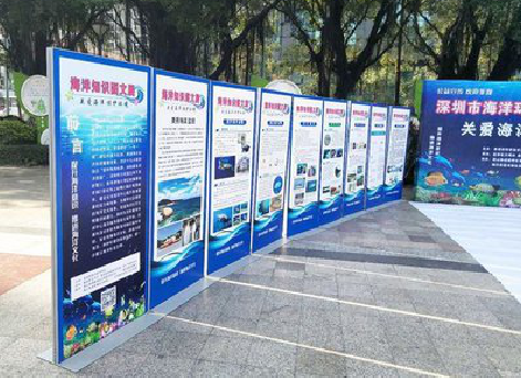 麻阳KT板的种类和知识。